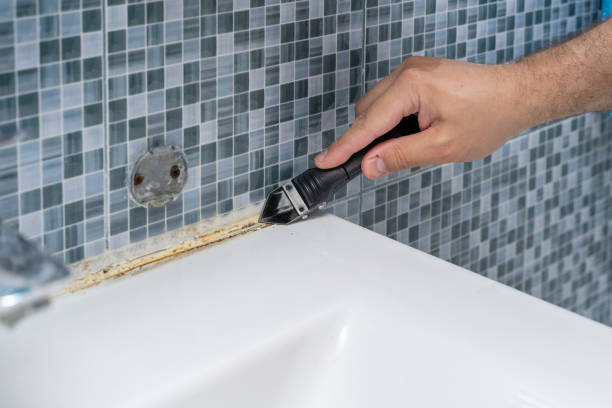 Best Mold Testing and Inspection Services in Brandywine, MD
